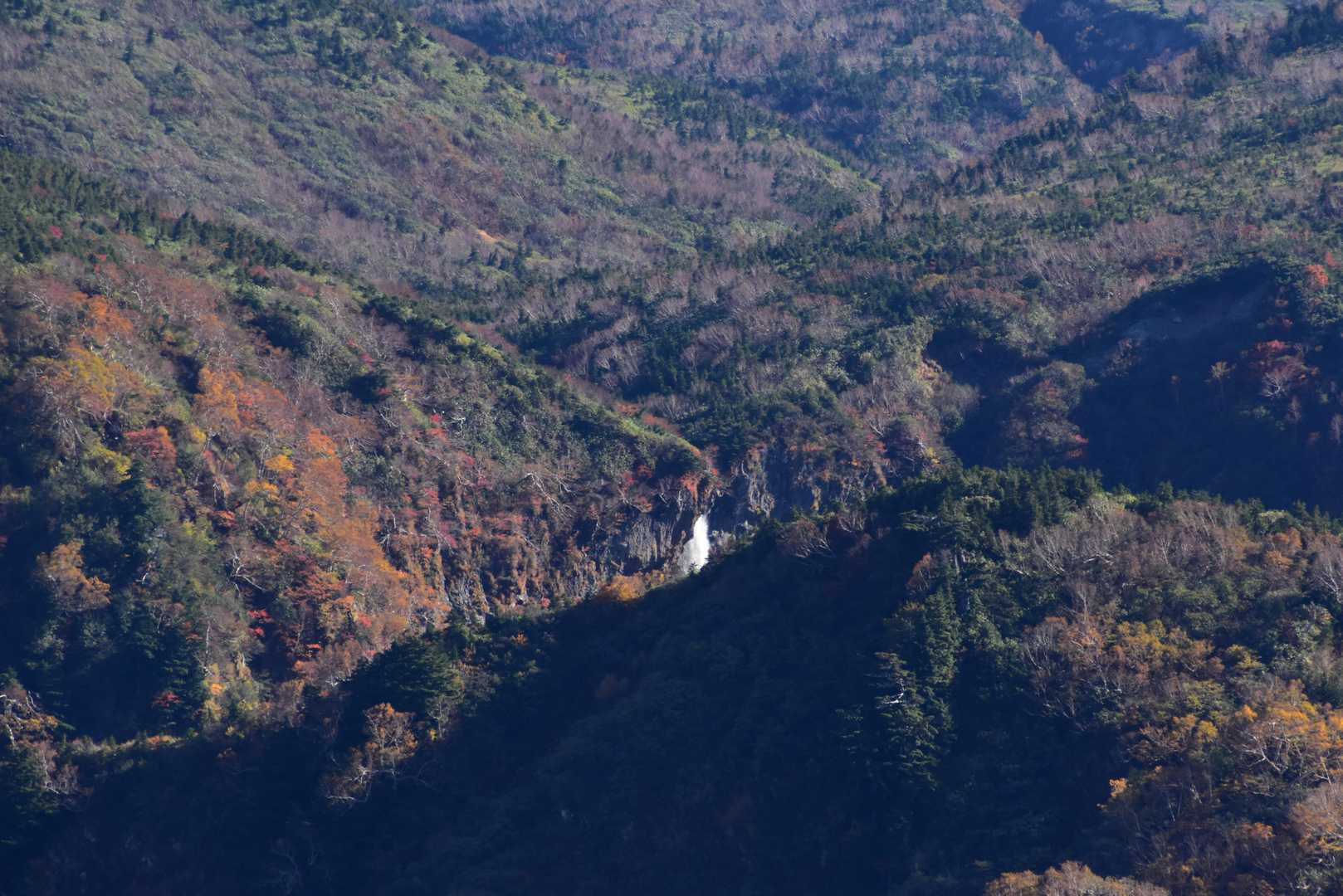 望遠で