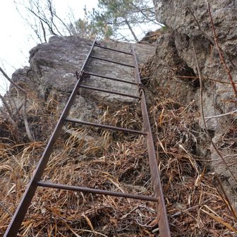 リングボルトに針金。ちょっと不安になる梯子