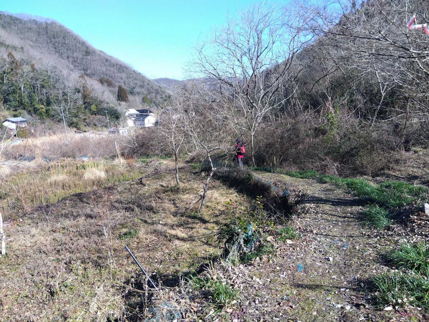 しばらくロード歩きで