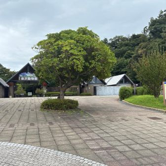 金沢動物園入り口の右横を抜けて行く