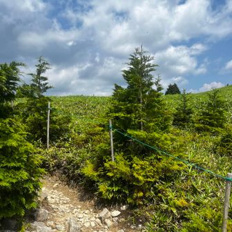 神坂山に寄って下山することに。
分岐は神坂小屋の目の前🛖