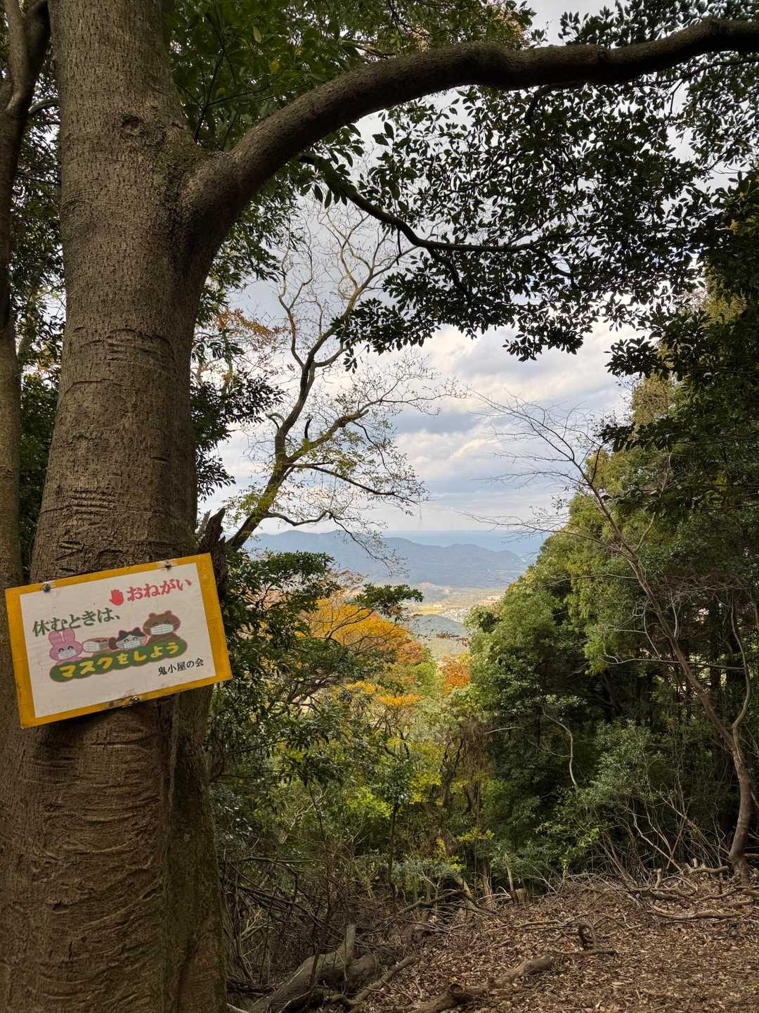 鬼ヶ城 往復コースの写真