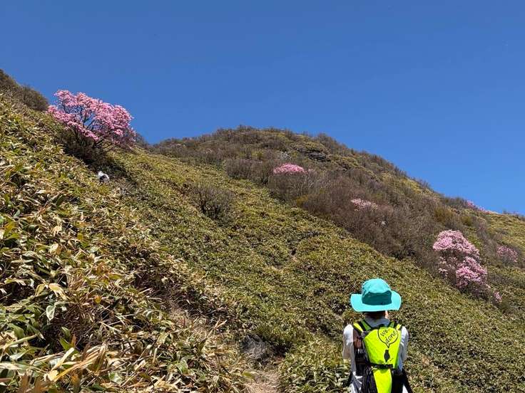 山山 桑瀬峠（笹ヶ峰・寒風山・平家平 / 愛媛・高知） / アクセス・地図