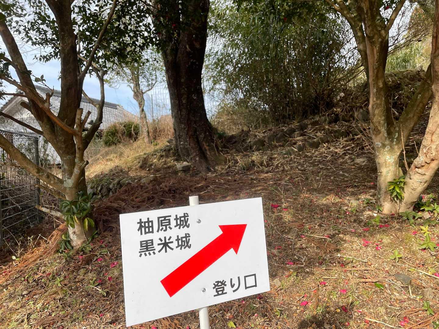 公民館横から入ります