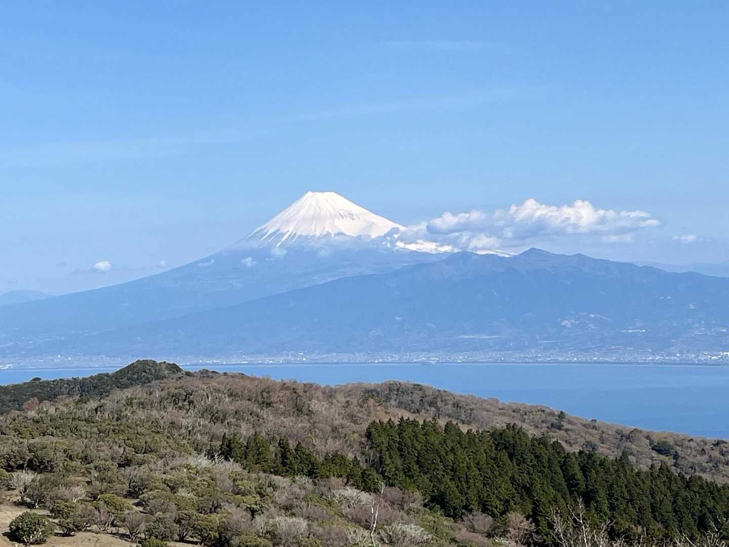 金冠山〜小達磨山〜達磨山〜古稀山〜伽藍山　往復コースの写真