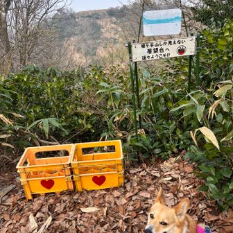 城ヶ平山しか見えないに来た
