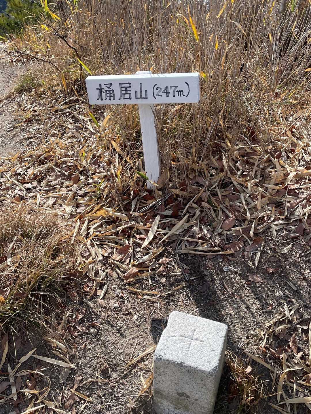 あっという間に桶居山とうちゃこ〜