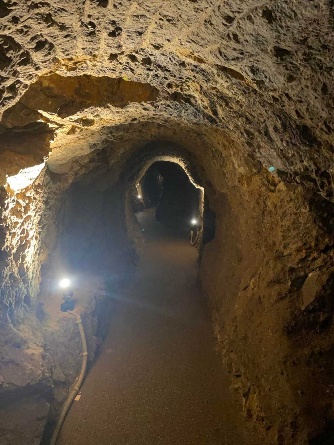 要害山 往復コースの写真