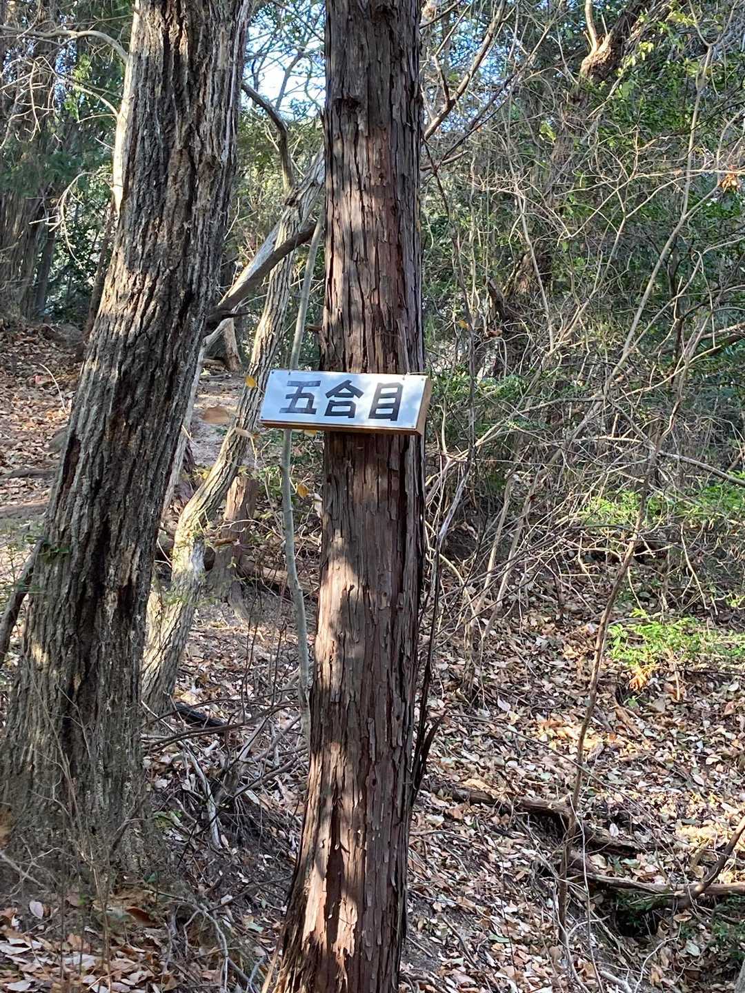 まだ五合目😅