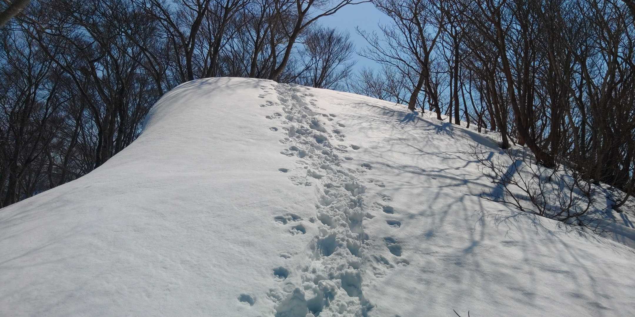 嫌いなワード・帰りの登り返しw