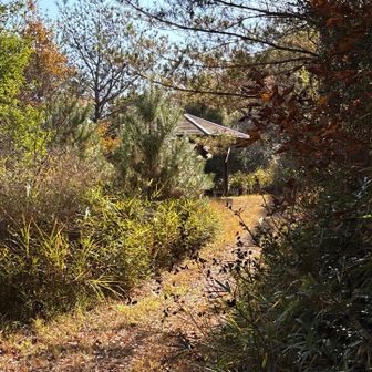 本線と合流。東屋手前に出て来ました。