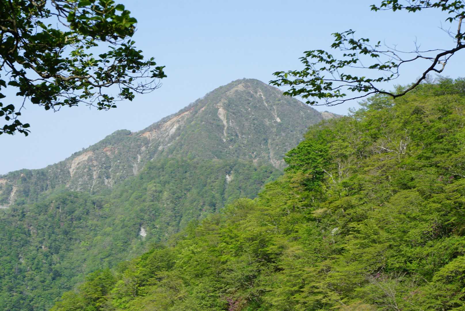 西丹沢バス停-檜洞丸-蛭ヶ岳-丹沢山-塔ノ岳-大倉バス停 縦走コースの写真