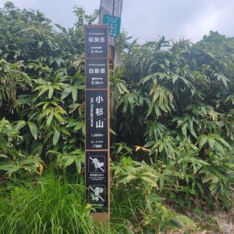 またまた一つ『小杉山』
登ったり下ったり、足にこたえます😣
