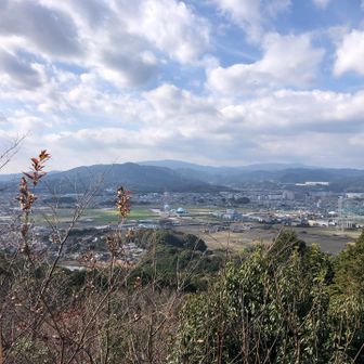 童男丱女岩からのながめながら、
ゆっくり
🍏王林と、熊本土産武者がえし食べる