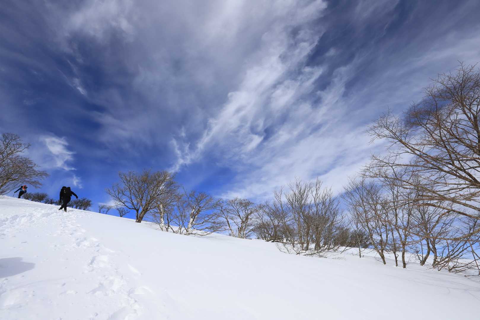 スカッと青空とは言えないが雲模様もまたいい