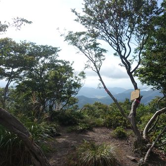 ①東ヶ谷山に到着⛰️
