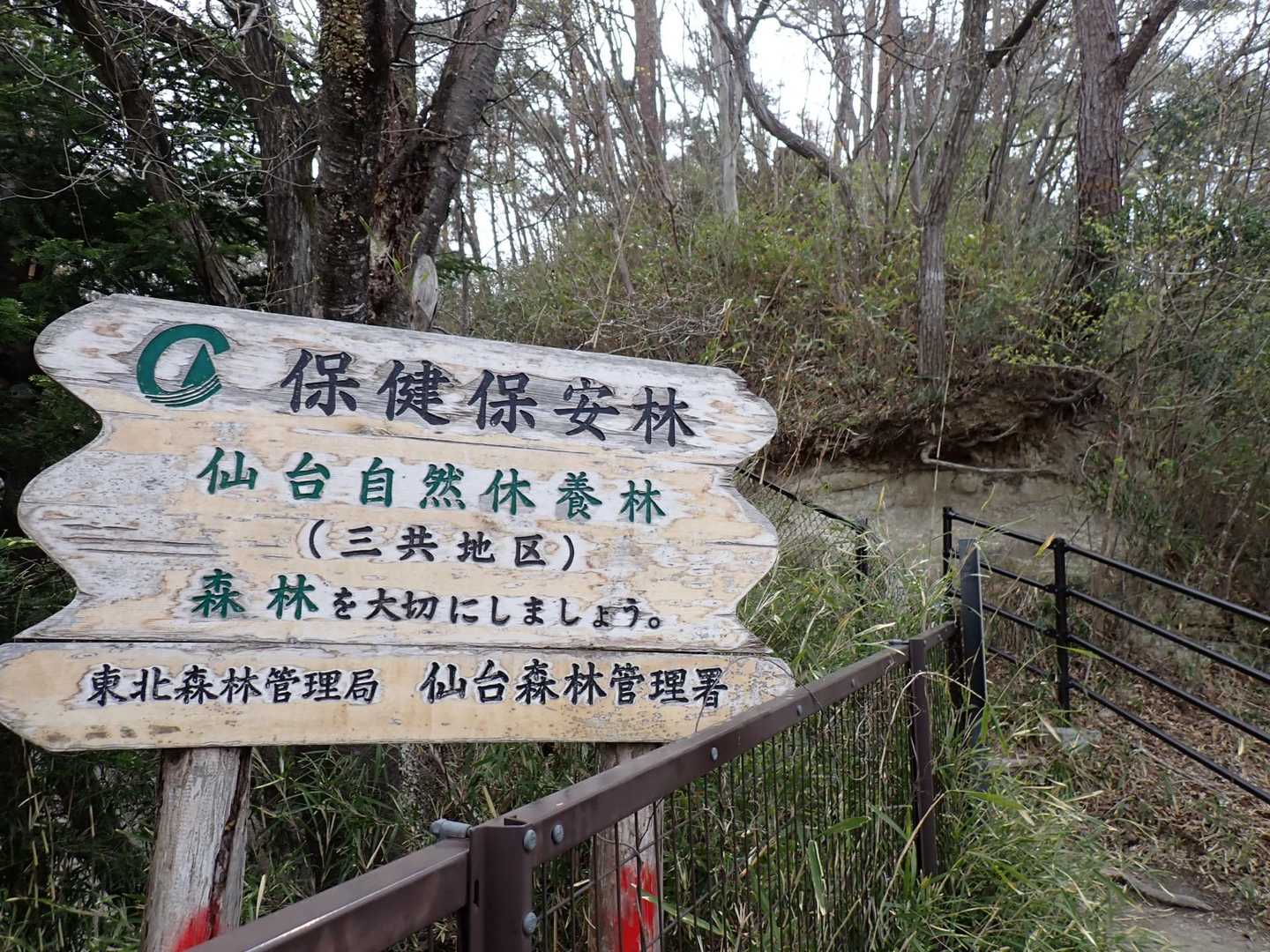 水の森 西峰 周回コースの写真