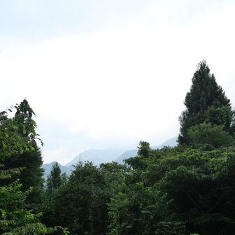 下りて来たらちょうど雨が降り始めた
天気を心配していたけれど、今日はついていたな

明日からは通常運用モード：サクッと歩いて🍺飲む　に復帰する