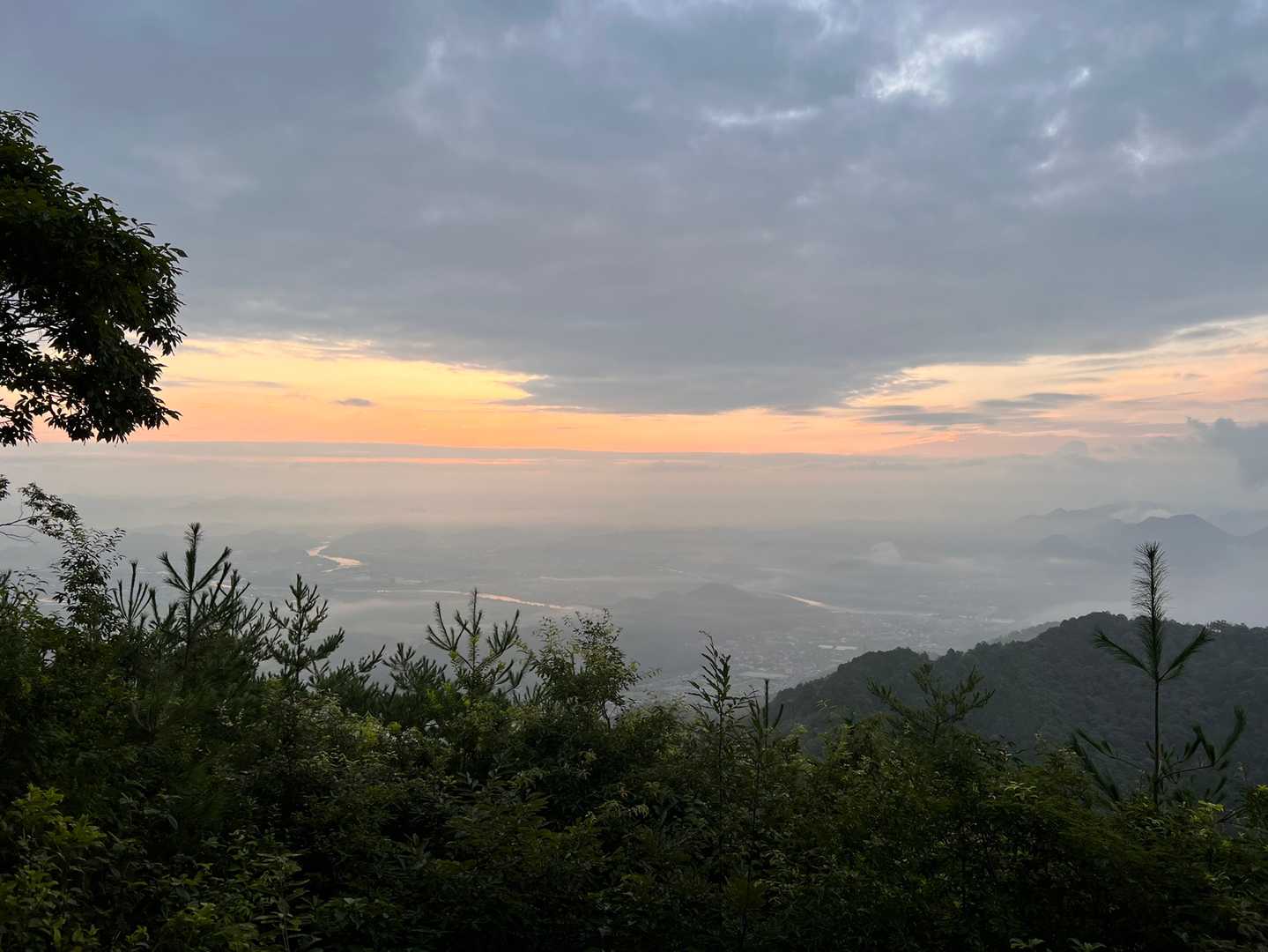 ながら川ふれあいの森-百々ヶ峰 往復コースの写真