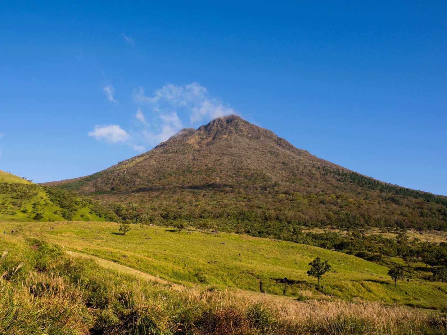 由布登山口バス停-由布岳正面登山口-由布岳 往復コースの写真