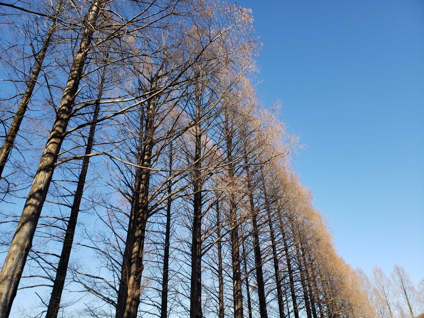 お疲れ⛰️です😃