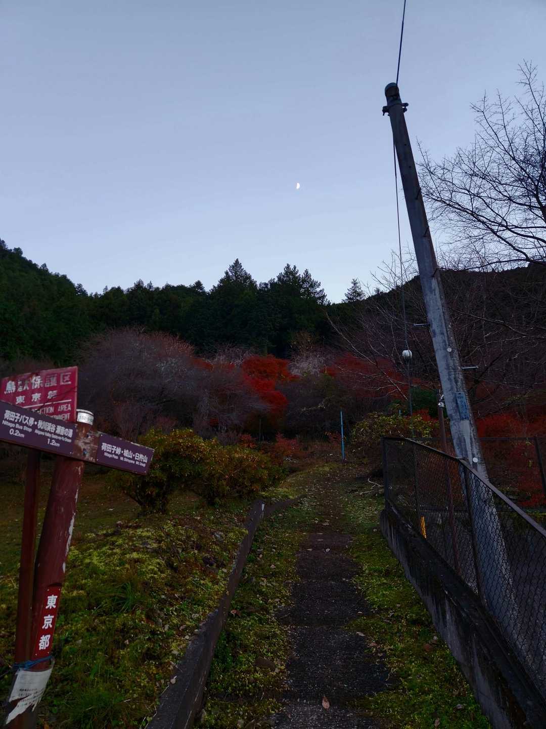 写真は撮るゆとり無く😅
荷田子へ下山🙌🎵
転びましたが軽傷🩹
足がヘロヘロ😵🌀