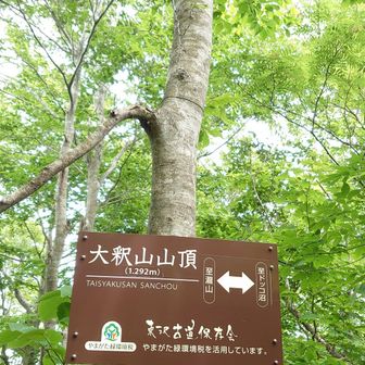 大釈山の山頂は眺望なし🥲