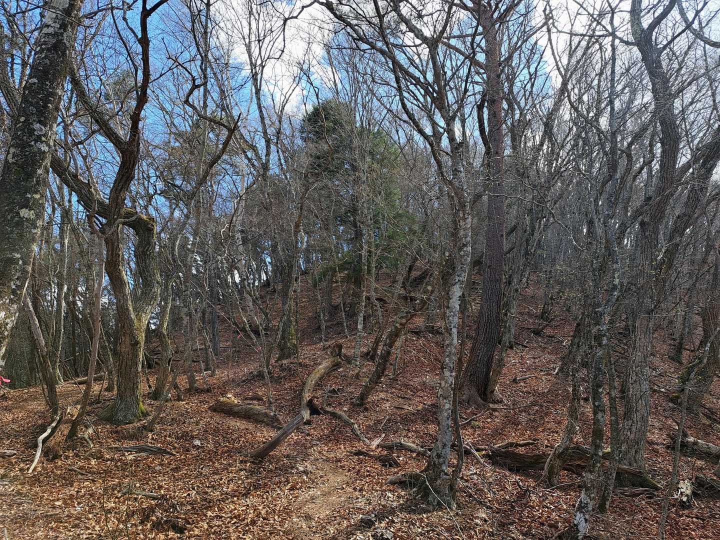 歩きやすい山道でした👼