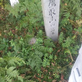 200メートル位で鷹取山山頂に着きました