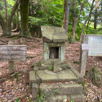 日向山山頂🏔️眺望ナシ