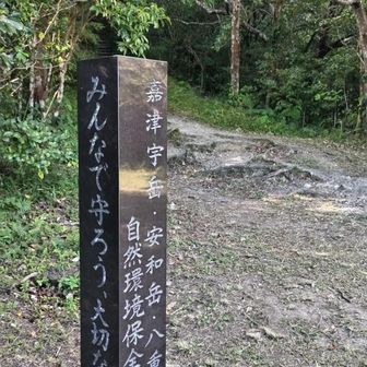 ここは登山口