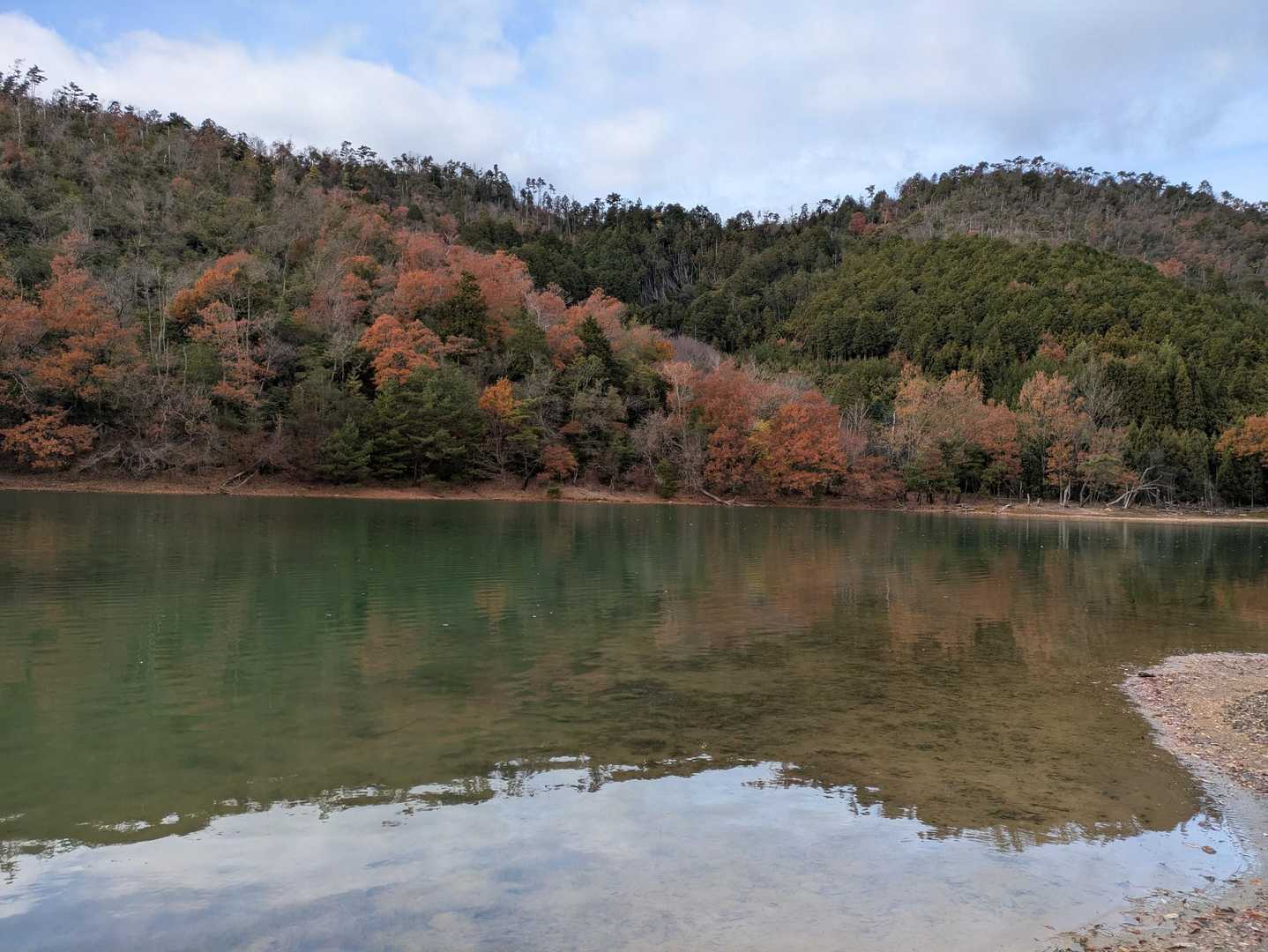 🏊🈲