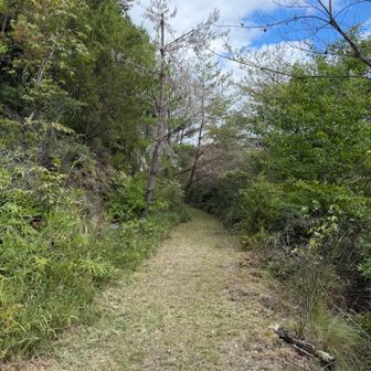 山エリアからダム湖湖畔への管理道？も綺麗に草刈りされてます