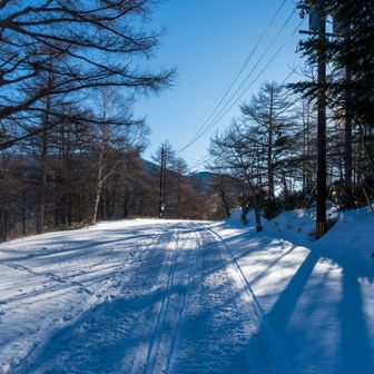 雪上車の時間がすこし遅いので歩いて向かおうと思ったら、宿の方が麓に降りる用事があるとの事でなんと高原ホテル前まで載せてくれるとの事🙏