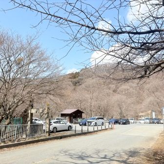 駐車場は車も減り、半分以下でした