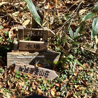 水場もあるけど
まだ残ってたので
そのまま帰ります🚶‍♂️