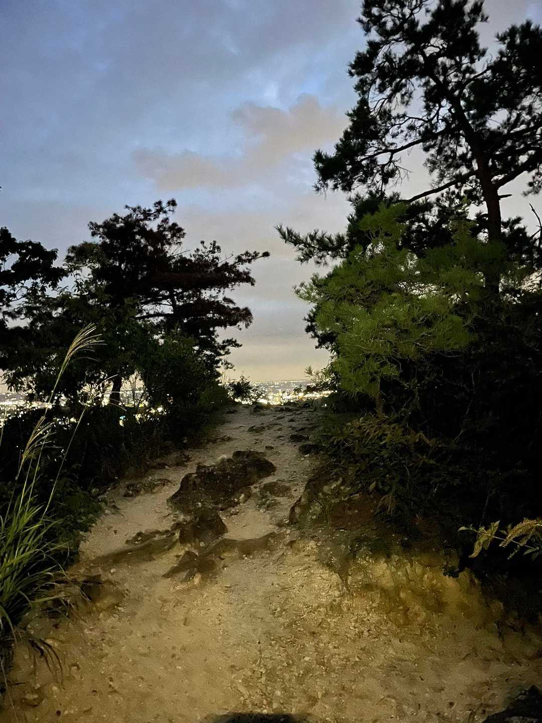 ライトつけて帰ります🔦
暗闇の登山道、怖すぎる😱
夜行はビビりの私には向いていません
怖すぎてずっと手を叩いて、大声で歌いながら
なんとか下山。