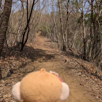 アップダウンがあります(⁠ㆁ⁠ω⁠ㆁ⁠)