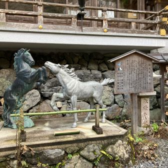 貴船神社の御神馬