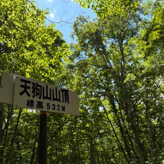 山頂🪧