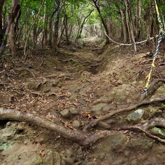 結構下ってます