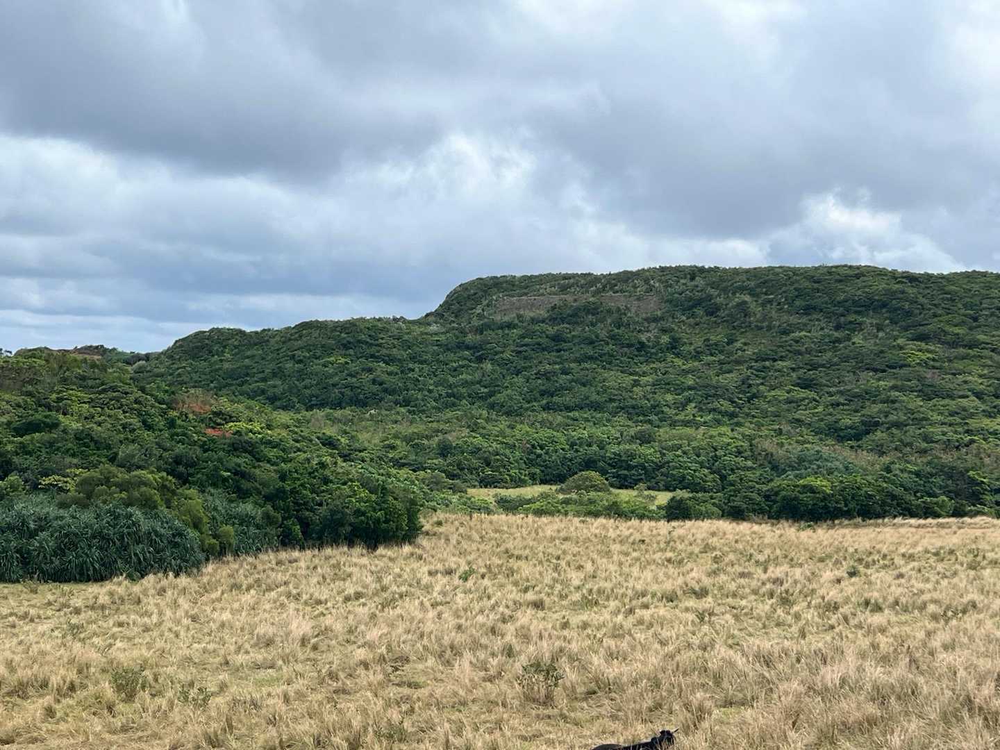 宇良部岳入口-宇良部岳 往復コースの写真