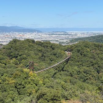 展望台に到着。
星のブランコ（吊り橋）にも人がいます。7月に来た時は通行止めでした。