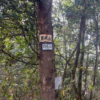 耳成山は標高139m
登山道は耳の中を歩いているようでした