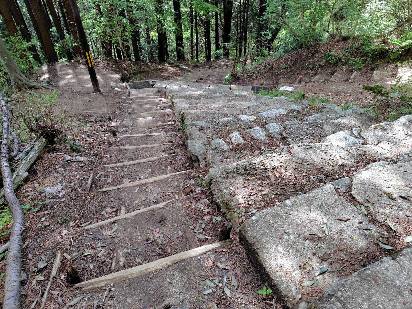 階段変われどずっと続く😅