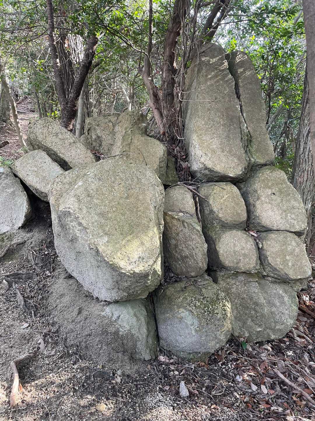 これはお城の石垣か