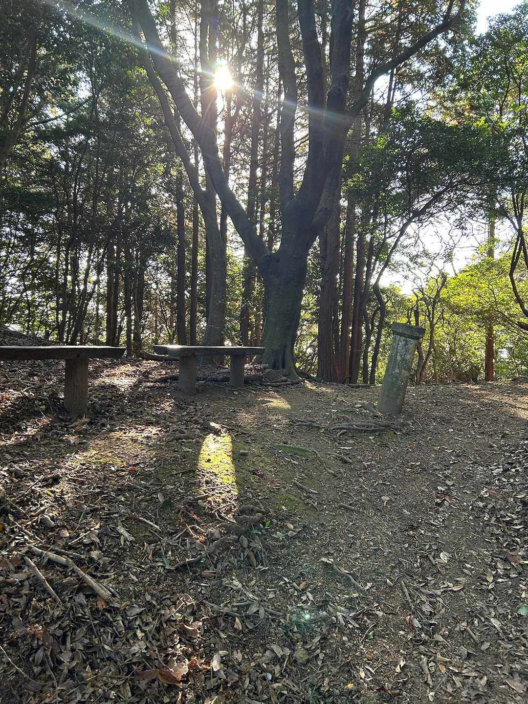 広い遊歩道､ベンチもあります❣️