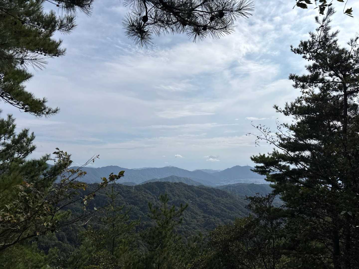 空は
どんより。。