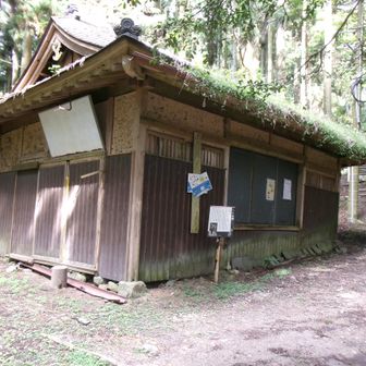 ハナ売り場