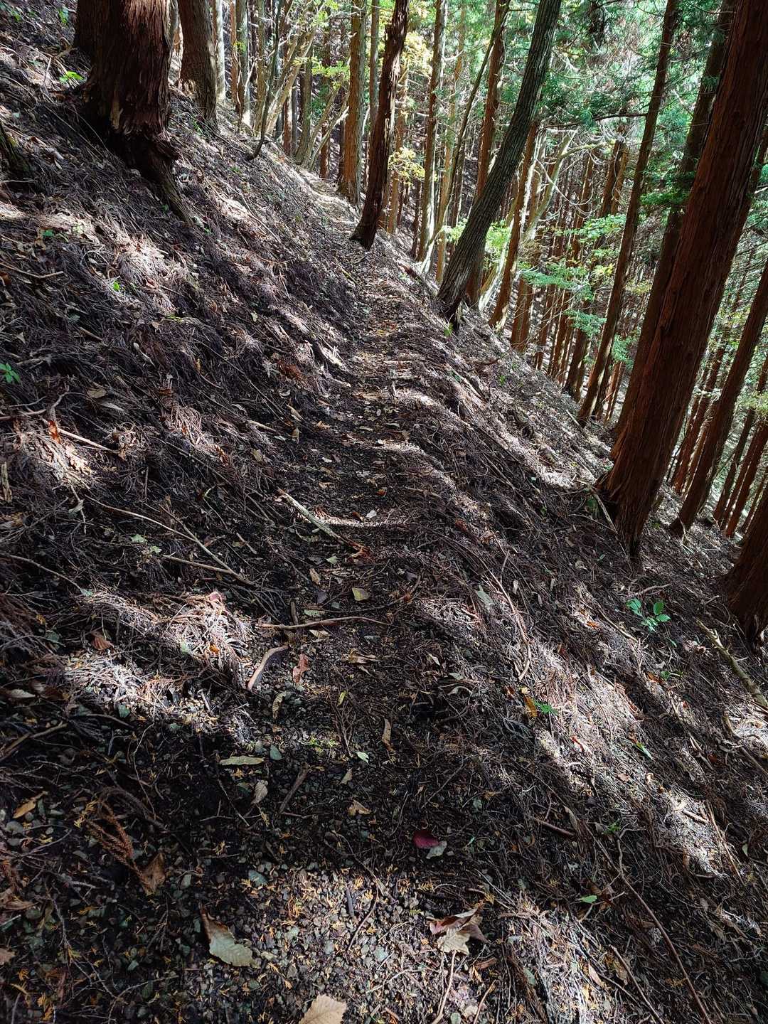 登山道は幅がせまい上に、柔らかい土なので端を歩くと崩れて滑落する恐れがあります💦